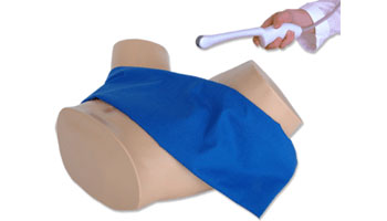 Endovaginal Ultrasound Trainers