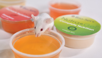 Bio-Serv Gel Product Line -       A Clear Path to Wellness