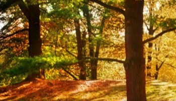 K. D. JONES INSTRUMENT CORP.